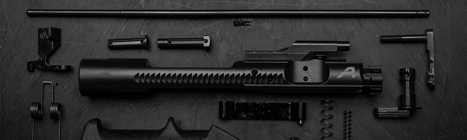 AR-15 BCG