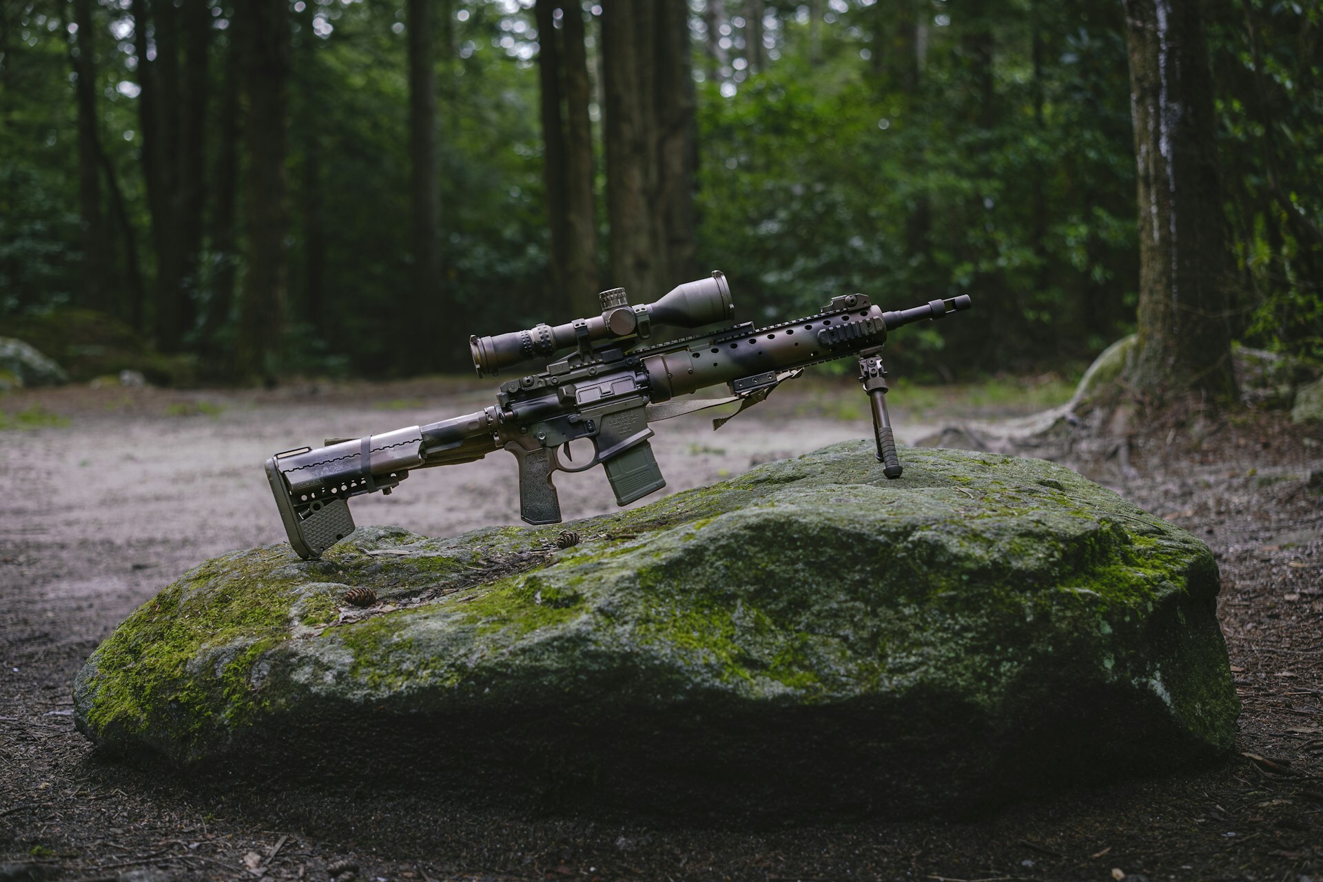 AR-15 on a rock in the middle of the woods