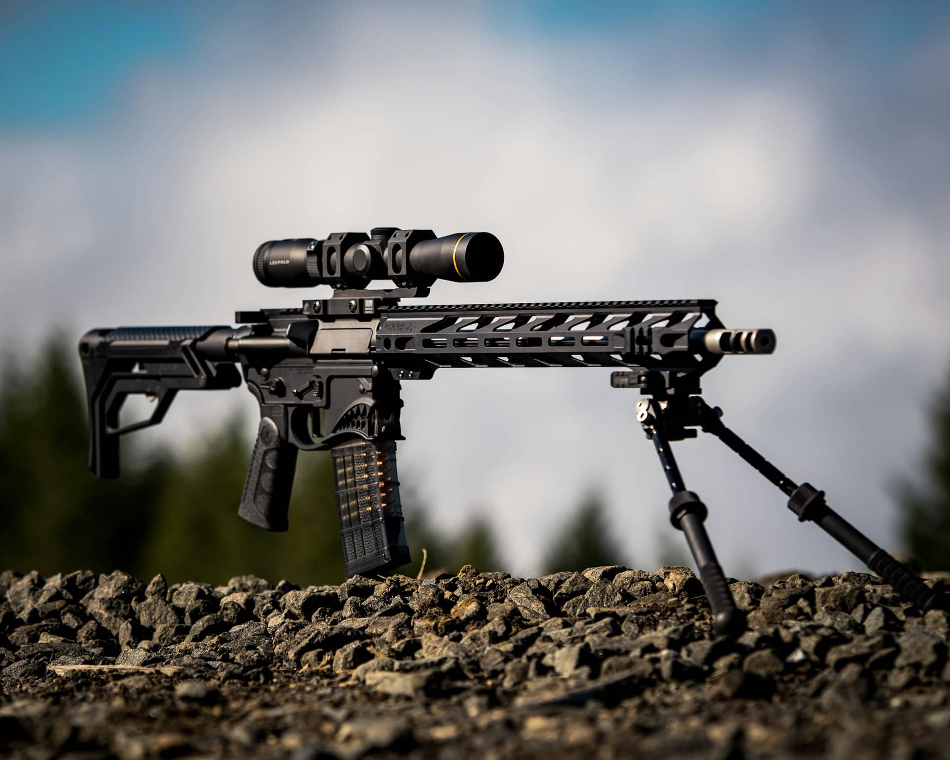 Black rifle with scope